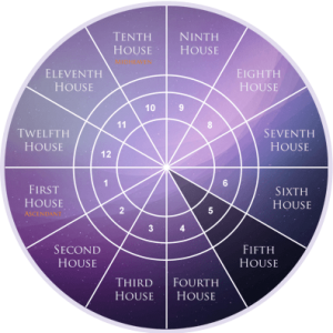 zodiac fifth house