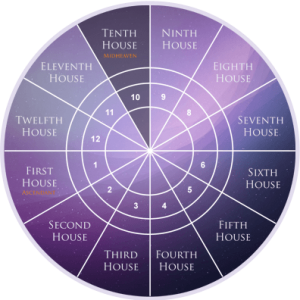 meaning of the 10th house in astrology