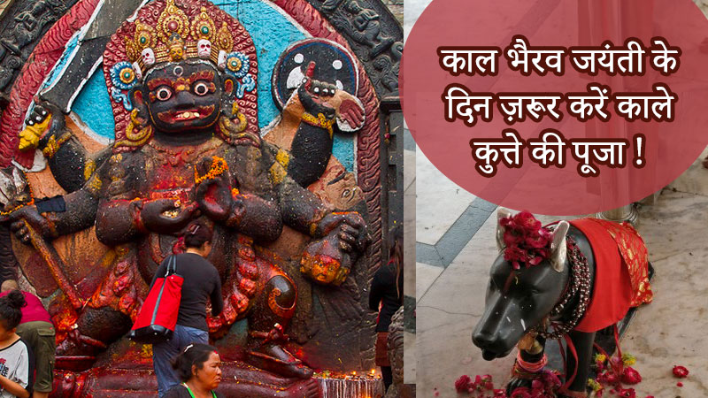 काल भैरव जयंती के दिन ज़रूर करें काले कुत्ते की पूजा !