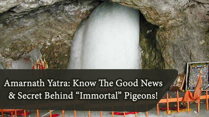 Amarnath Yatra: Know Registration Process & Secret Behind “Immortal” Pigeons