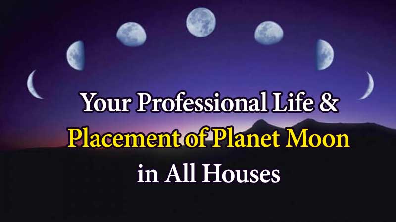 Planet Moon’s Result In Each House For Professional Life