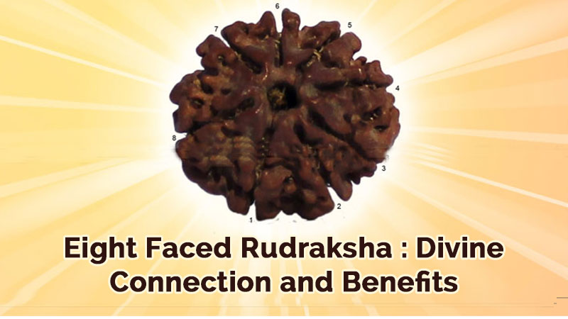 Eight Faced Rudraksha and Its Benefits
