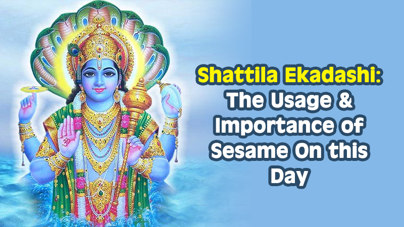 Shattila Ekadashi 2021: Know the Significance, Muhurat & Associated Legends