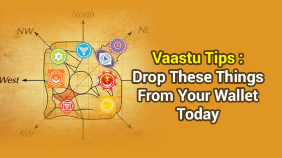 Vastu Tips : These Items in Your Wallet Can Create Debts!
