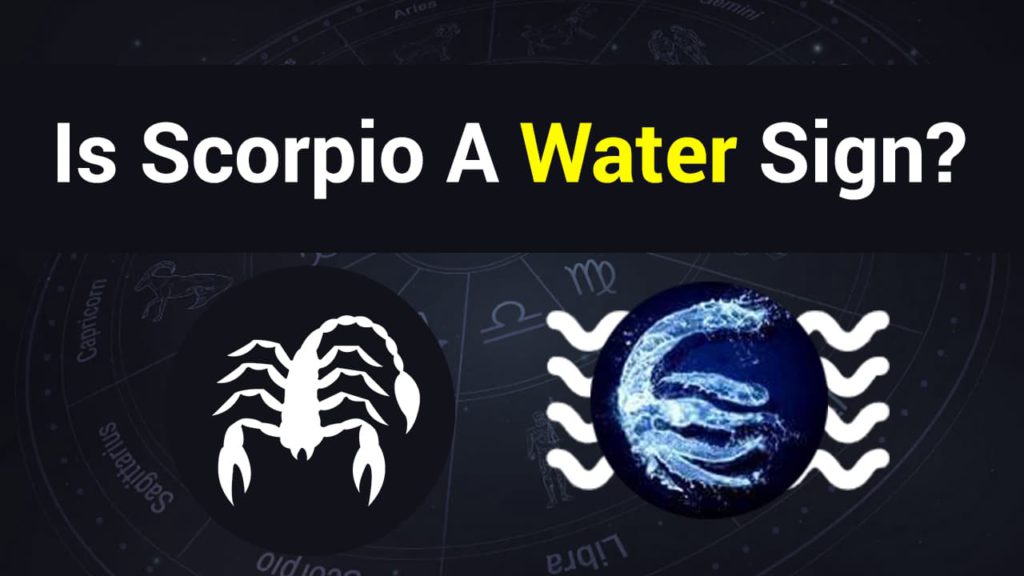 Is Scorpio A Water Sign Know Now