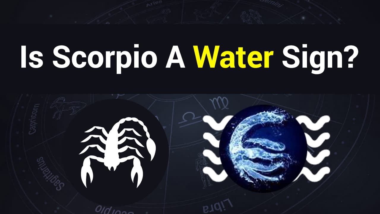 Is Scorpio A Water Sign? Know Now!