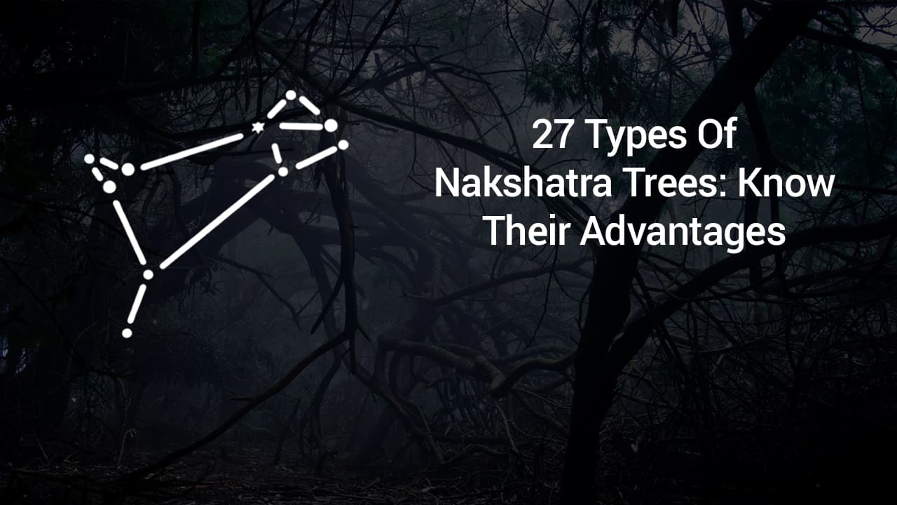 27 Types Of Nakshatra Trees: Know Their Advantages - AstroSage Journal