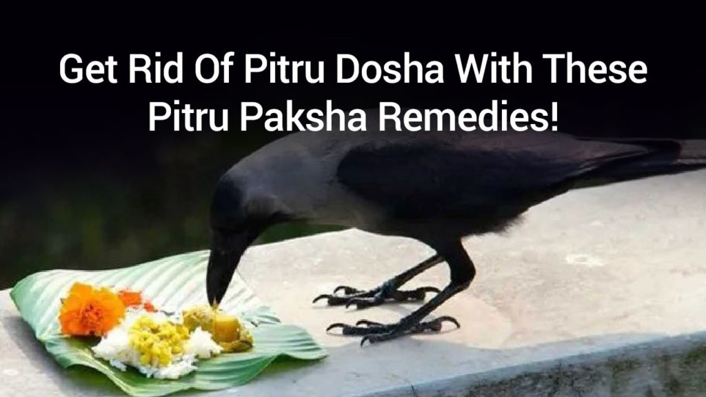 Embracing Ancestral Reverence: A Deep Dive into Pitru Paksha 2022