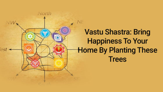 Vastu Tips: These Plants & Trees Bring Luck-Prosperity To Your House!