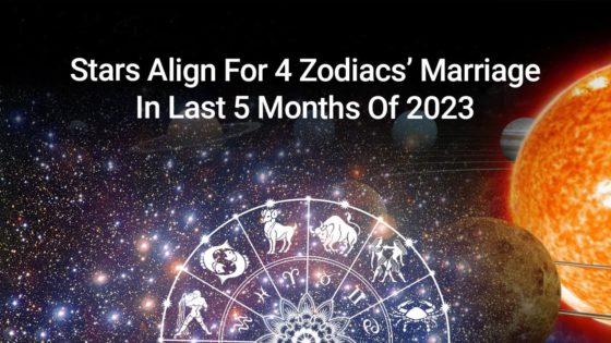 Marriage Probabilities For 4 Zodiacs; Last 5 Months Of 2023 Can Bring Good News!