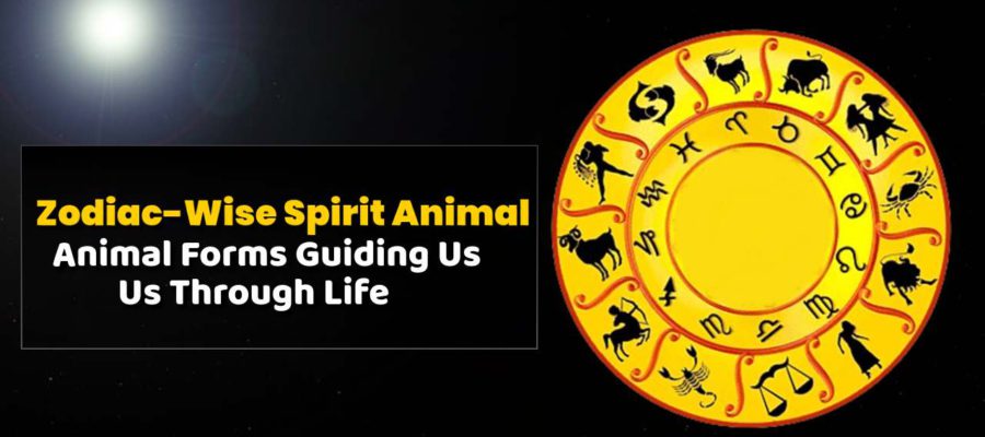 The Zodiac Signs & Their Spirit Animal Guides Unleashed!