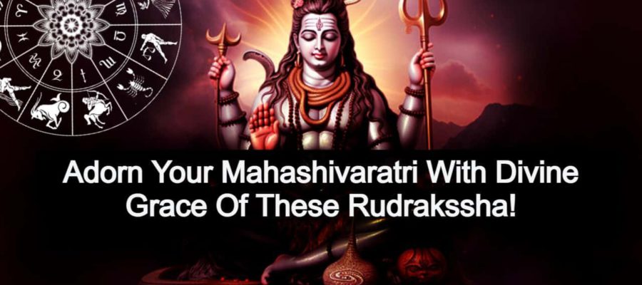 Mahashivaratri 2024: Wear your zodiac's Rudraksha for Shiva's grace!