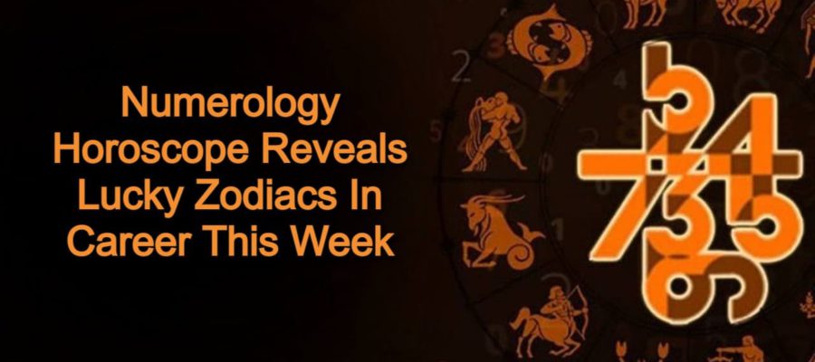 Numerology Weekly Horoscope: 5 Moolank Natives Will Make Great Advancement In Career!
