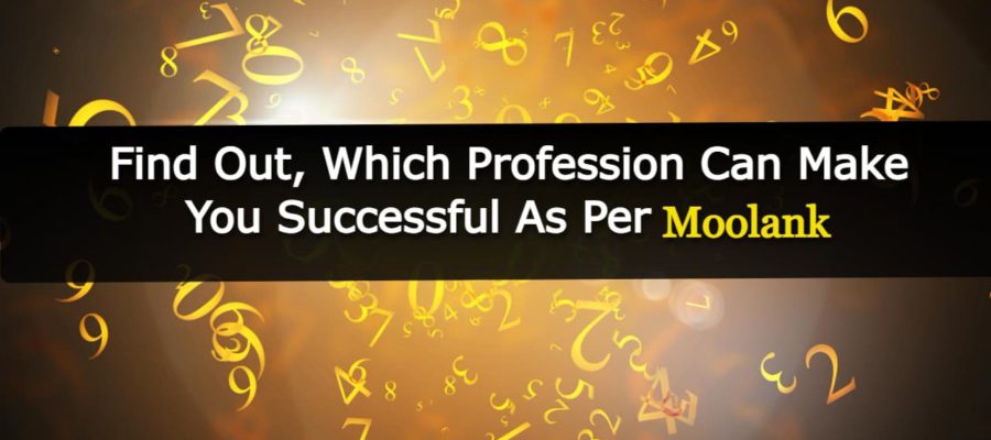 Choose Your Best Career With The Help Of Your Moolanks & Get Success