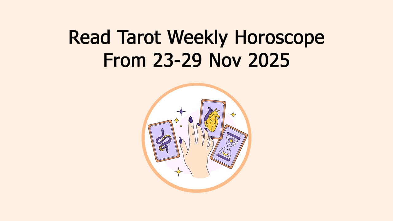 Tarot Weekly Horoscope Brings Fortune Cookies For All 12 Zodiacs